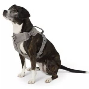 LARGE Adjustable Gray Dog Harness